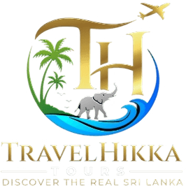 TravelHikka Tours